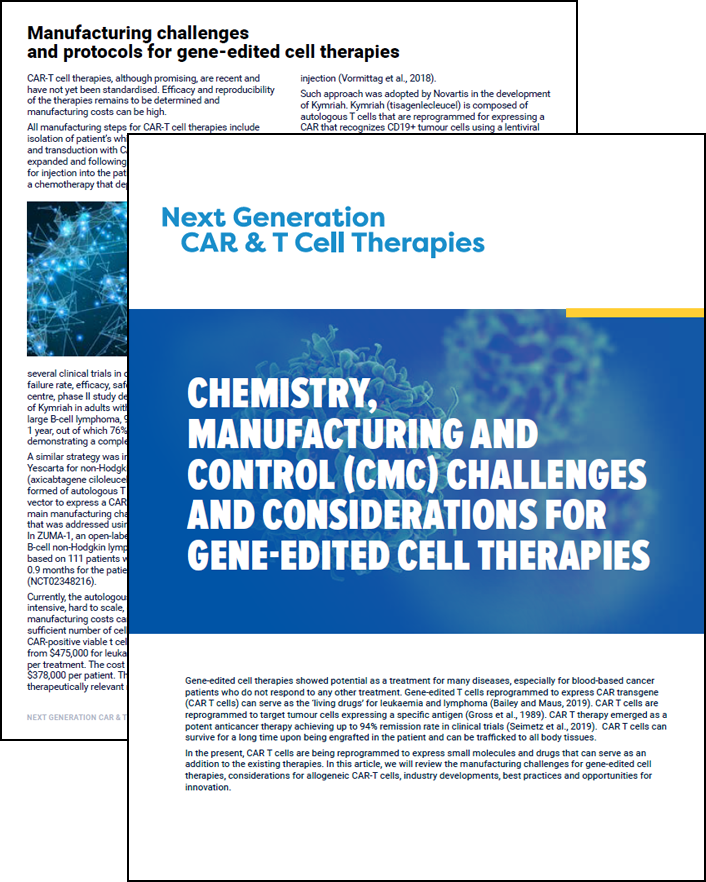 Gene Edited Cell Therapies CMC Challenges And Considerations WHITEPAPER