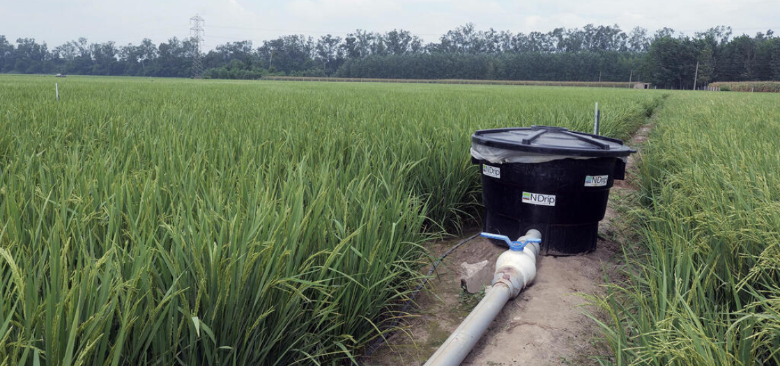 NDrip funded 44 M for irrigation innovation