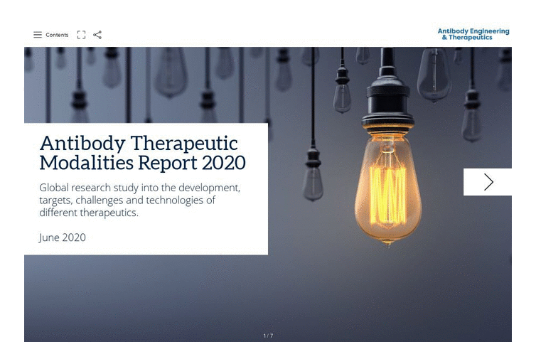 Antibody Therapeutic Modalities Report 2020