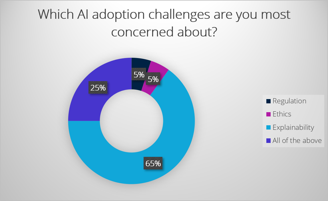 02 Adoption concerns