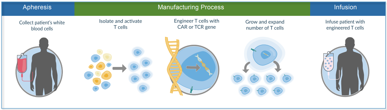 Kite Pharma’s cell therapy challenges: Manufacture, release, and ...