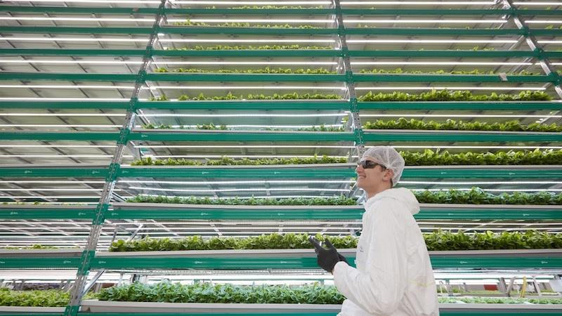 IFarm Launches First Vertical Farm In The UAE