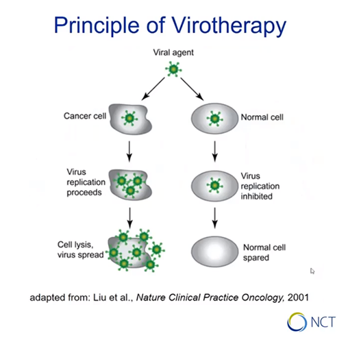 Oncolytic Vaccines Encoding T-Cell Engagers - principle of virotherapy