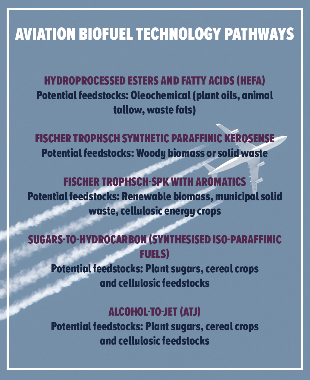 Aviation Biofuels Technology Pathways