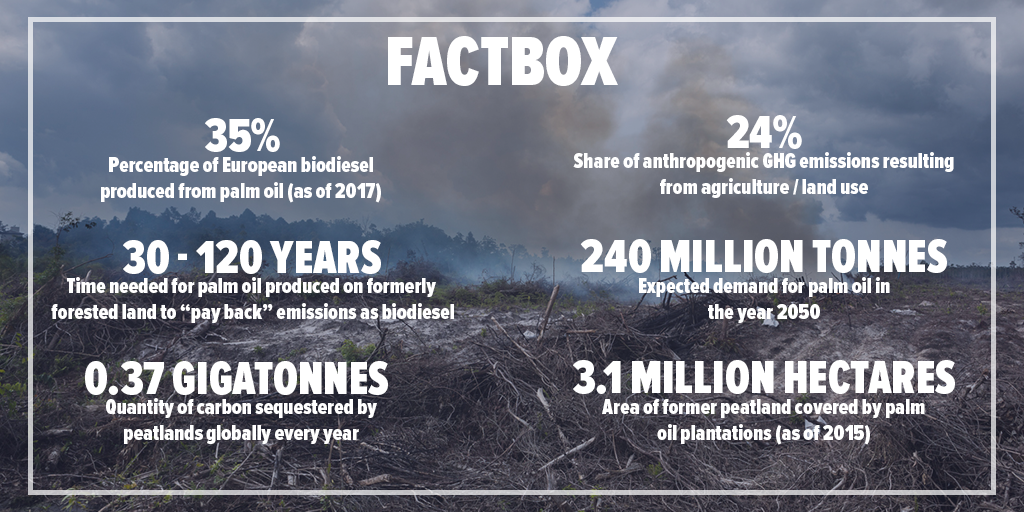 Palm oil biodiesel factbox