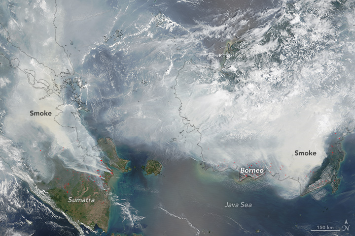 Peatland fires, sumatra and borneo