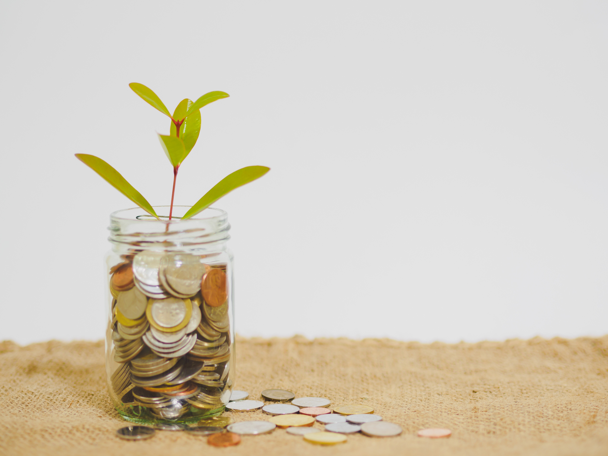 Transfer Pricing Audits Coming Soon in the Philippines