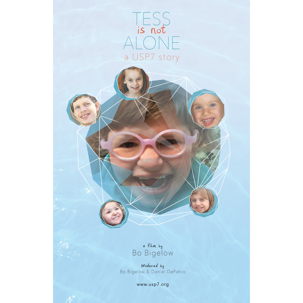 TessPoster