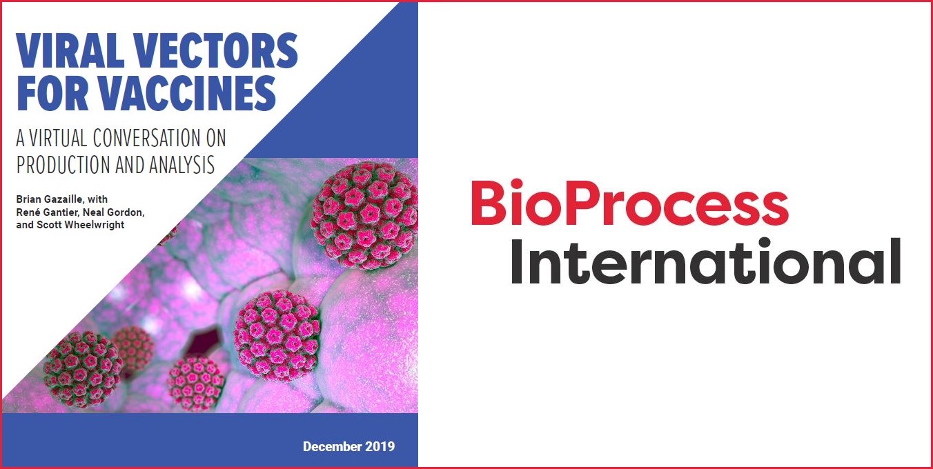 Viral vectors for vaccines: A conversation on production and analysis