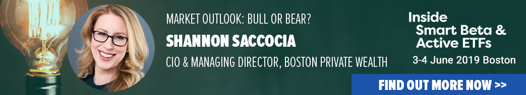 Shannon Saccocia - Banner for blog