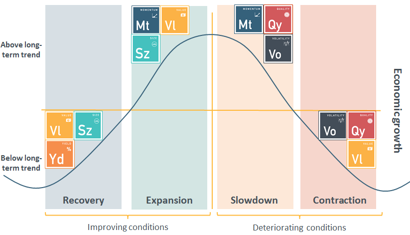 msci graph 6